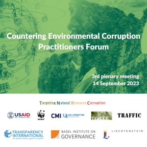 Countering Environmental Corruption 3rd plenary meeting